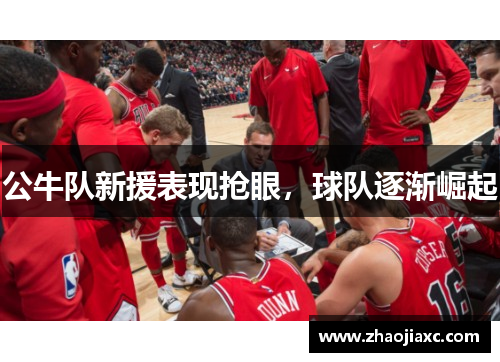 公牛队新援表现抢眼，球队逐渐崛起