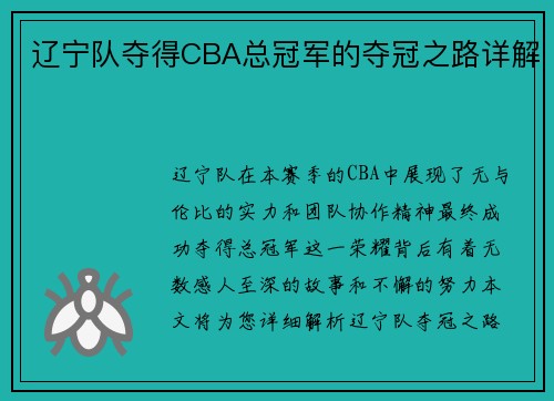 辽宁队夺得CBA总冠军的夺冠之路详解